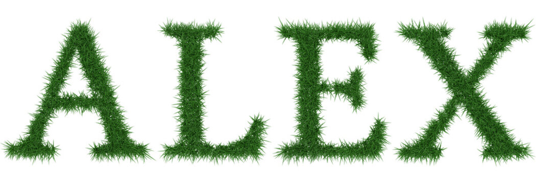Alex - 3D rendering fresh Grass letters isolated on whhite background.