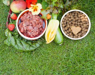 Arrangement rohes Hundefutter und Trockenfutter auf Rasen mit Obst und Gemüse