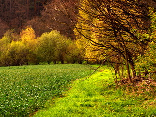 Naklejka premium Landschaftsaufnahme