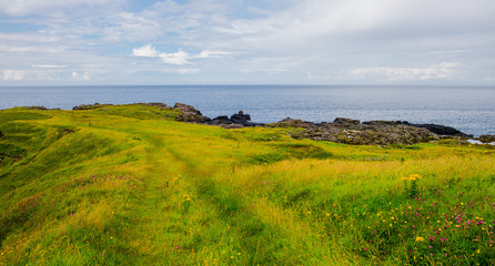 Fototapeta na wymiar Landscape of Northern Ireland. Relaxing vacation on an island. Panoramic view of the ocean.