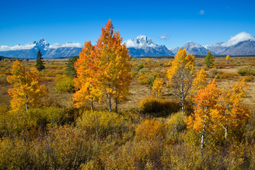 Grand Teton