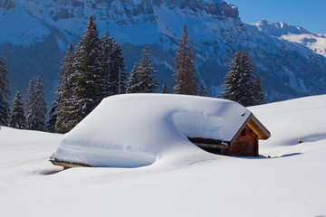 Winter in alps