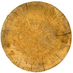 Wood slice texture close up