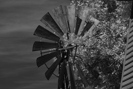 Windmill and tree © Arthur