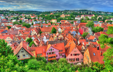 Panorama of the historical center of Tubingen, Baden Wurttemberg, Germany