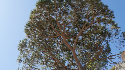 Scogliera alle Cinque Terre in Liguria