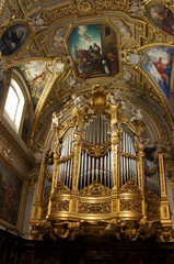 Organo a canne