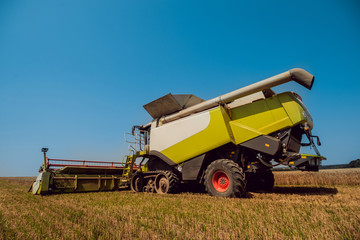 Combine harvester in action on wheat field. Process of gathering a ripe crop.