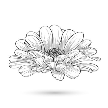 black and white flower drawing clip art preview