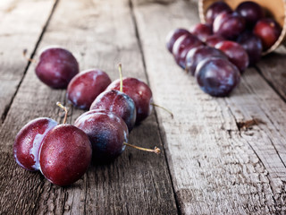 Fresh ripe plum prunes crop harvest
