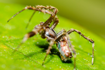 Pequenos detalhes