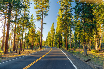 Beautiful road between the forest during sunset. at Yosemite National Park California.