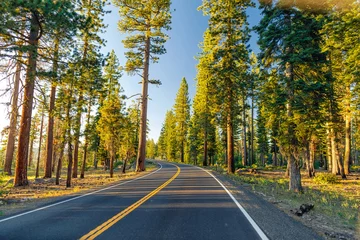 Foto auf Glas Beautiful road between the forest during sunset. at Yosemite National Park California. © Artur