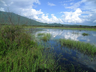 Obraz premium lago cielo azul