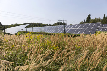 Fototapeta premium Solar Power Station on the summer flowering Meadow 