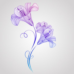 Hand-drawing floral background with flowers lily. Element for design. Vector illustration.