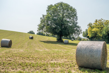 Strohrollen auf dem Feld