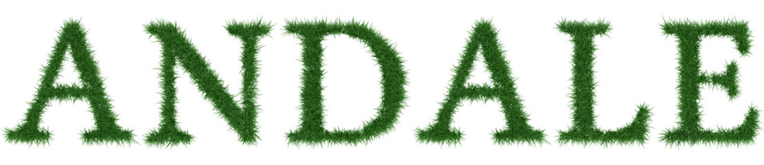 Andale - 3D rendering fresh Grass letters isolated on whhite background.