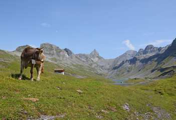 Glattalp, Kanton Schwyz