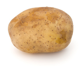 new potato tuber isolated on white background cutout