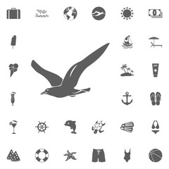 Seagull Icon Vector.