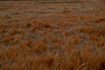 Obraz premium The Bay