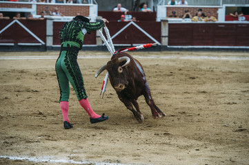 Bullfighter in a bullring.