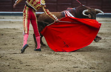 Obraz premium Bullfighter in a bullring.