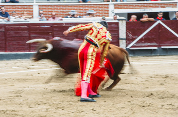 Naklejka premium Bullfighter in a bullring.