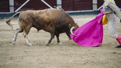 Photo sur Aluminium Tauromachie Bullfighter in a bullring.