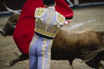 Photo sur Plexiglas Tauromachie Bullfighter in a bullring.