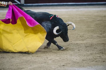 Poster Stierenvechten Bullfighter in a bullring.