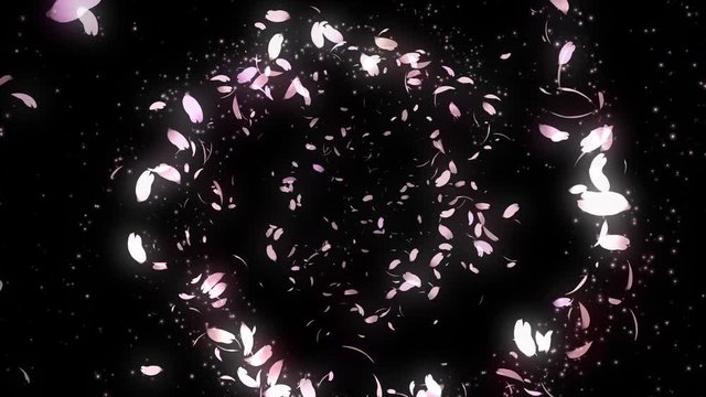 舞い上がる花びら2
