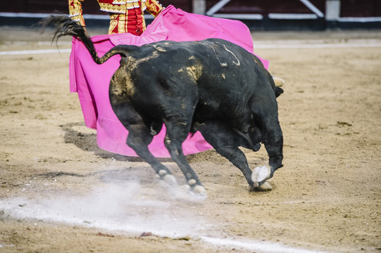 Bullfighter in a bullring.