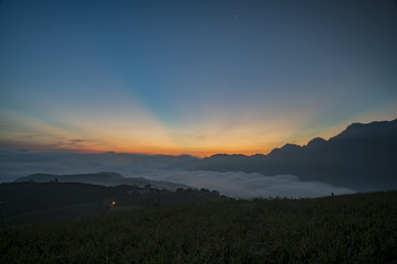 Sunrise with oblique light of the famous and beautiful Daylily flower at sixty Stone Mountain