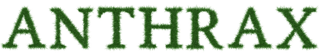 Anthrax - 3D rendering fresh Grass letters isolated on whhite background.