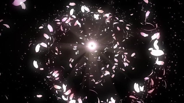 舞い上がる花びら1