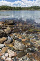 Fototapeta na wymiar Acadia Shoreline - Trees in Background