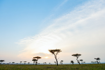 Masai Mara at sunset