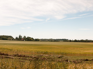 Obraz premium glorious farm field grass land outside summer's day