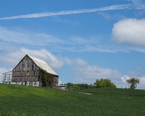 Obraz premium Old barn next to a field