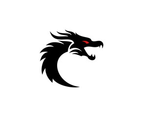 Fototapeta premium Dragon logo