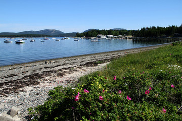 Little Cranberry Island, Maine