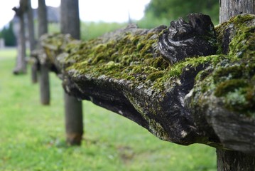 Mossy split rail wooden fence in summer