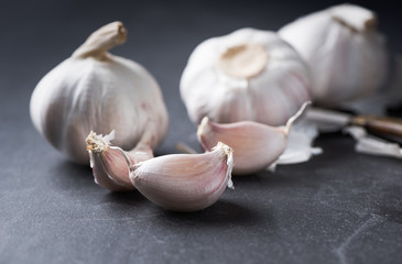 white garlic on black background, Most ingredient for cook