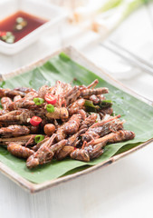 Fried grasshoppers and fried worm.or fried silkworms