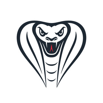 Furious cobra head, vector illustration