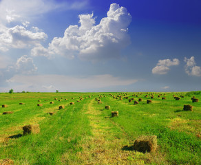 Hay bale in the countryside