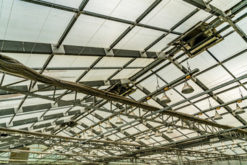 Roof of greenhouse