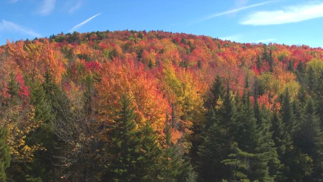 AERIAL: Flying above the stunning colorful treetops with turning leaves on sunny day. Beautiful autumn trees in yellow, orange and red forest on sunny autumn day. Fall foliage in autumn forest